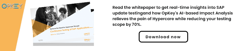 SAP Update testing