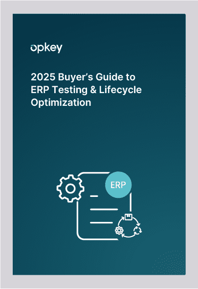 2025 Buyer's Guide: ERP testing & lifecycle optimization infographic