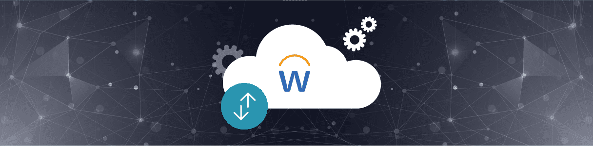 Workday 2025R1